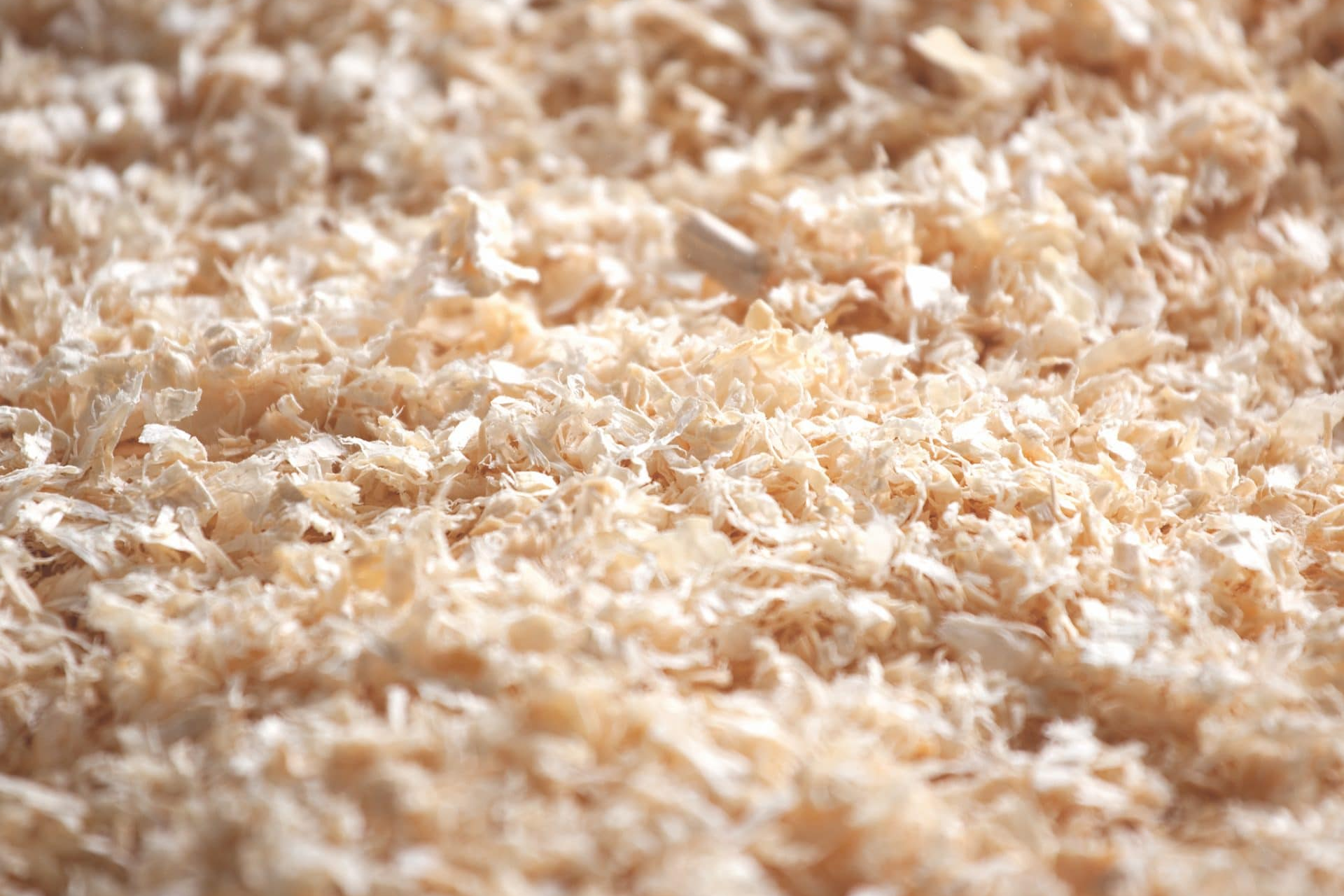 About Us Intro Image